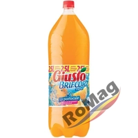 GIUSTO BRIFCOR PORTOCALE 2,5L